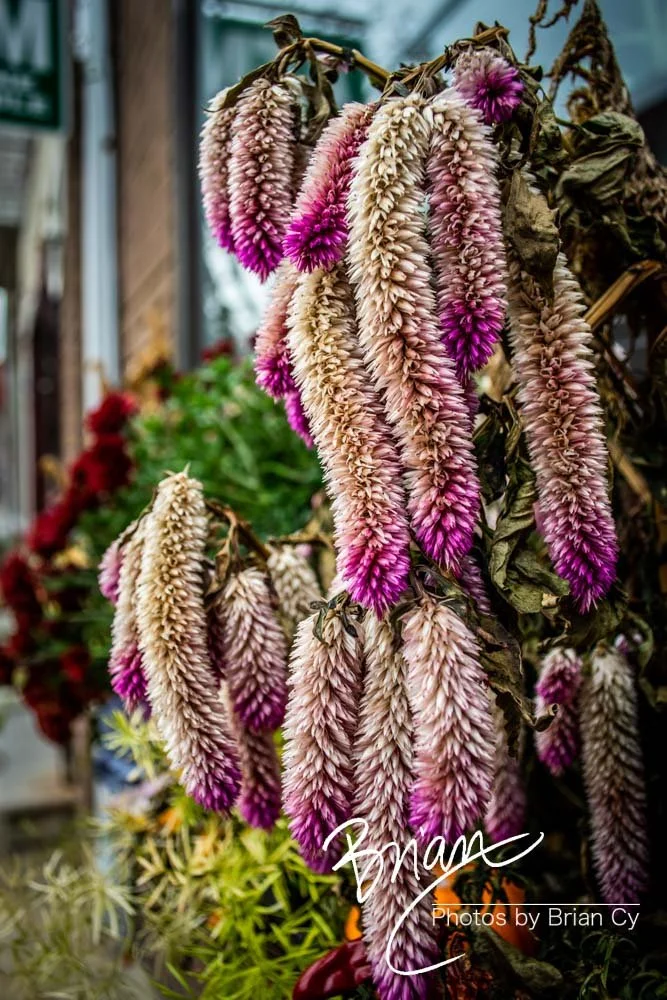 LoRes_WM_20181130_Philadelphia_Edit-0665.jpg