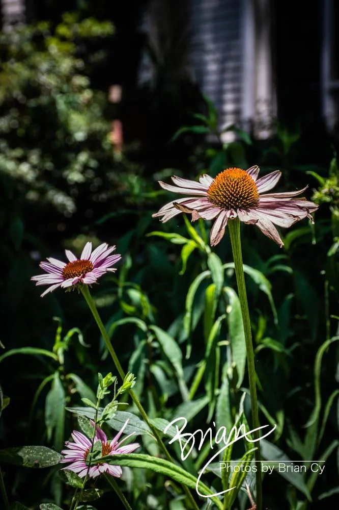 LoRes_WM_20190528_Decatur_Edit-2759.jpg