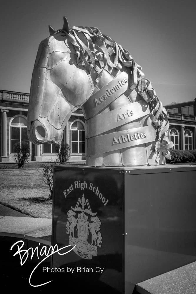 LoRes_WM_20190316_Memphis_Edit-6329.jpg