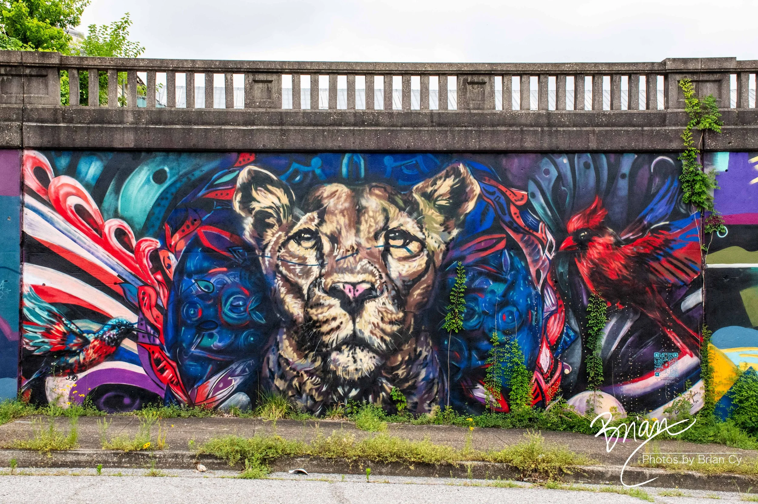 LoRes_WM_20260525_Memphis_Edit-0892.jpg