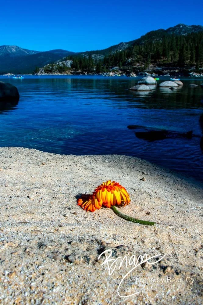 LoRes_WM_20201014_Tahoe_Edit-0735.jpg