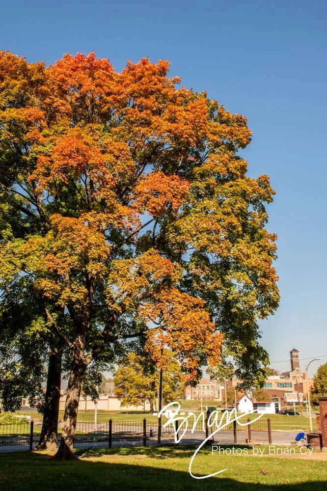 LoRes_WM_20241019_StLouis_Edit-2386.jpg