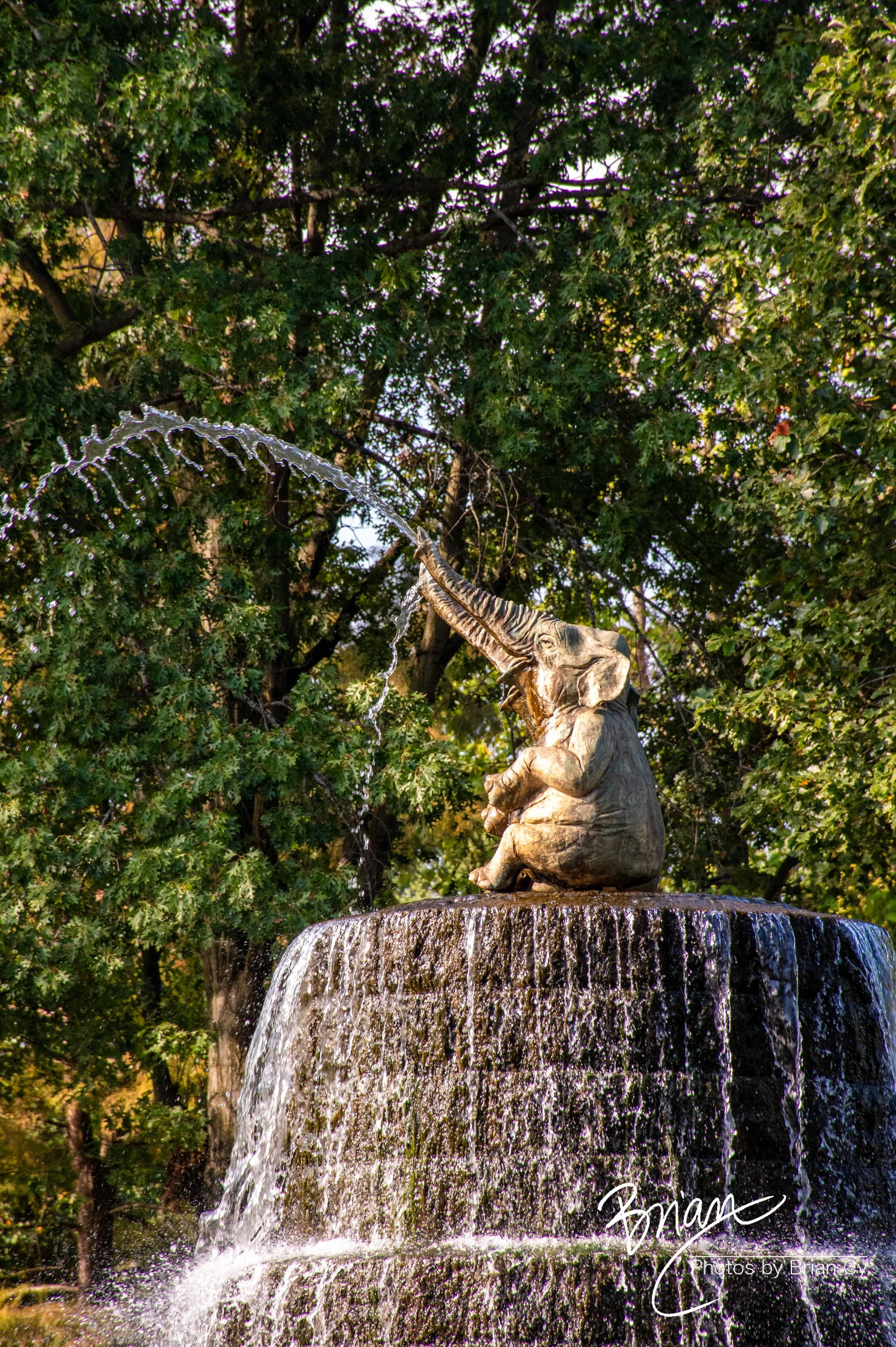 LoRes_WM_20251010_Columbus_Edit-5488.jpg