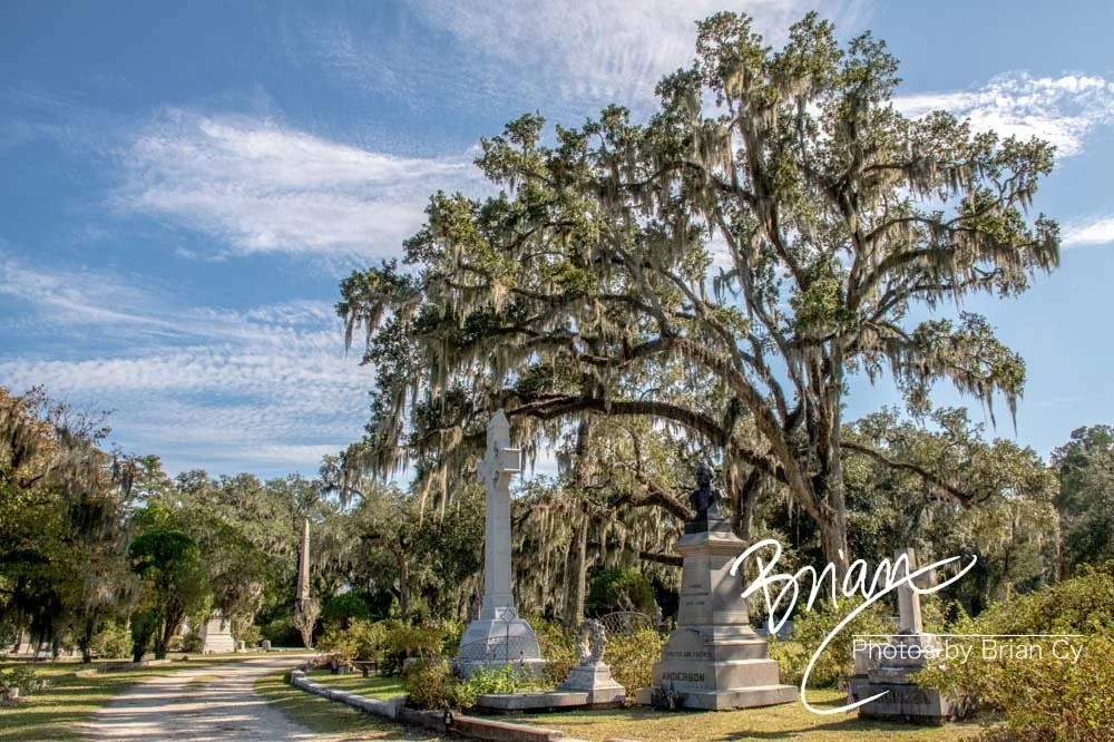 LoRes_WM_20191028_Savannah_Edit-2472.jpg