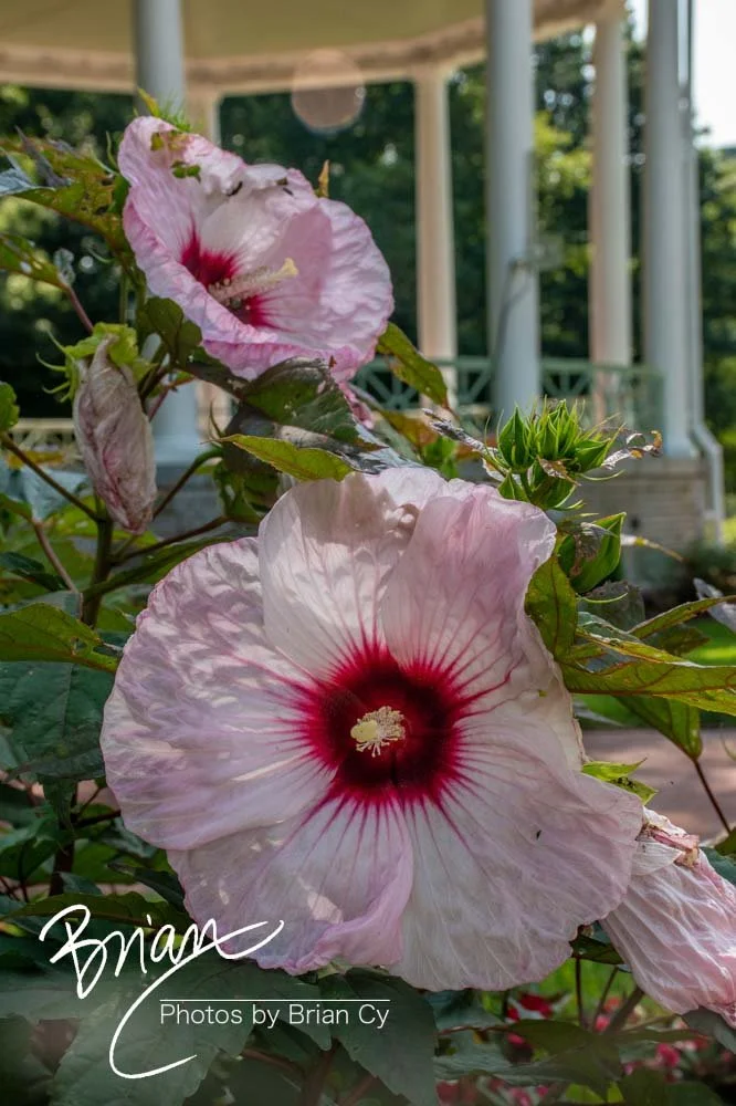 LoRes_WM_20210716_Annapolis_Edit-3495.jpg