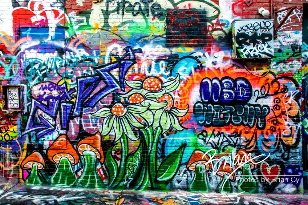 LoRes_WM_20211224_Baltimore_Edit-9722.jpg