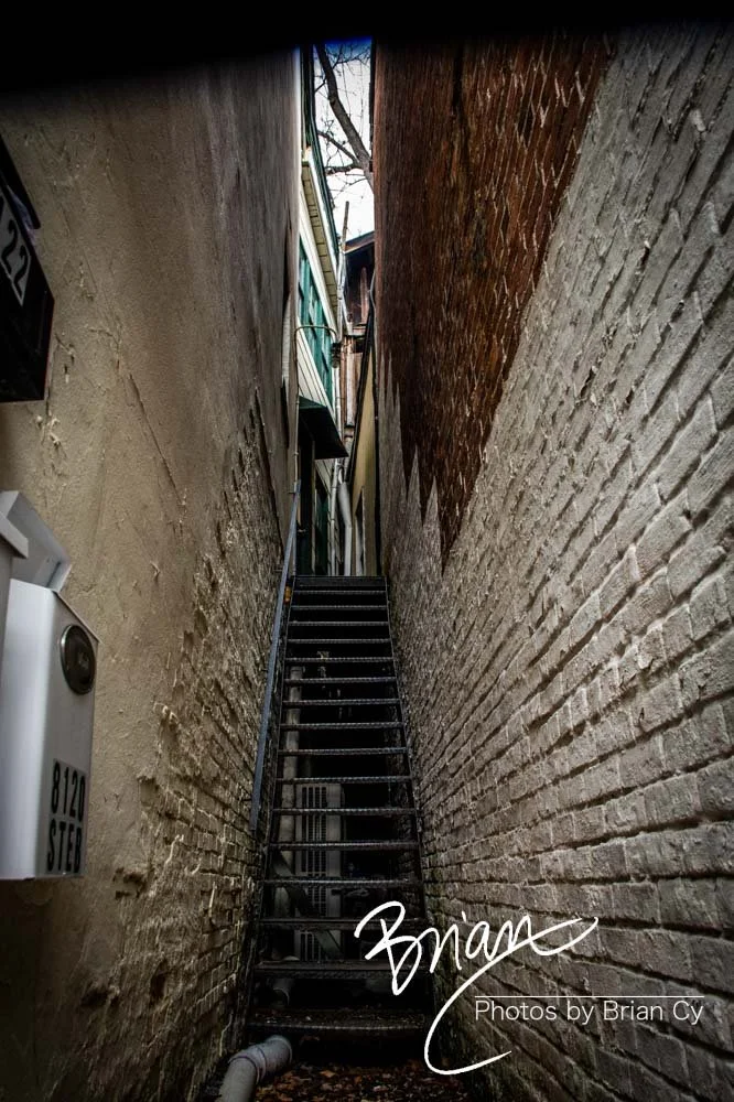 LoRes_WM_20221217_EllicottCity_Edit-8155.jpg