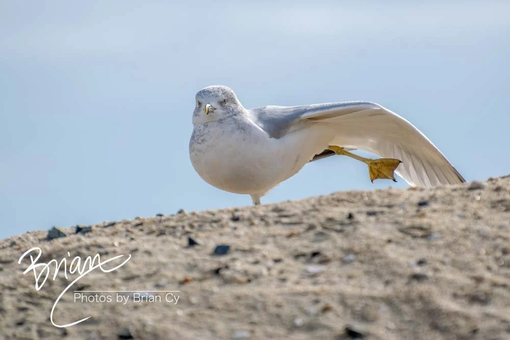 LoRes_WM_20181201_Asbury_ParkB_Edit-0041.jpg