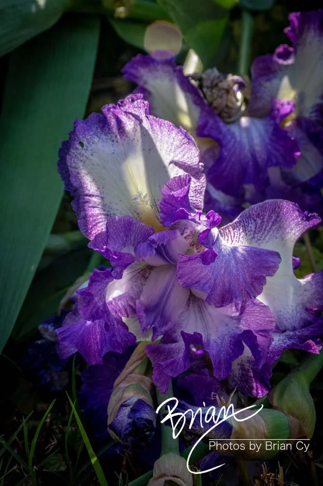 LoRes_WM_20210502_Baltimore_Edit-8055.jpg