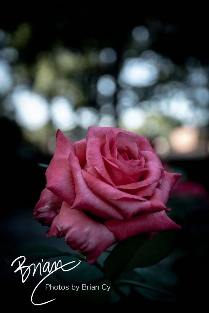LoRes_WM_20190921_Atlanta_Edit-9748.jpg