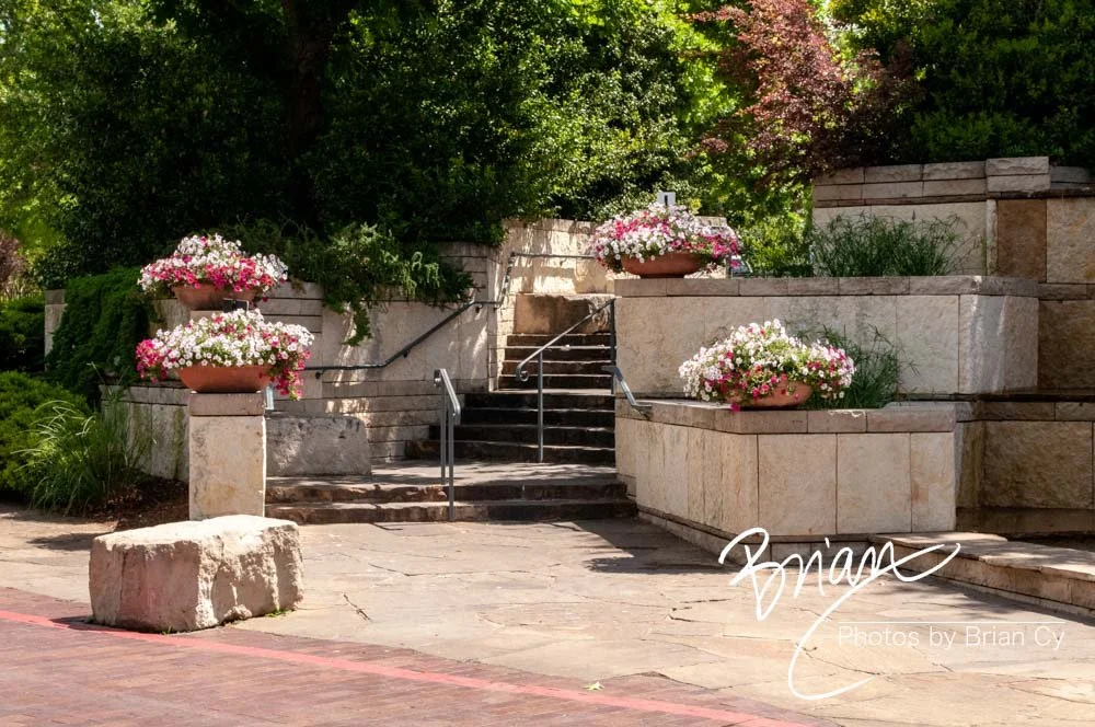 LoRes_WM_20160408_Dallas_Edit-0088.jpg