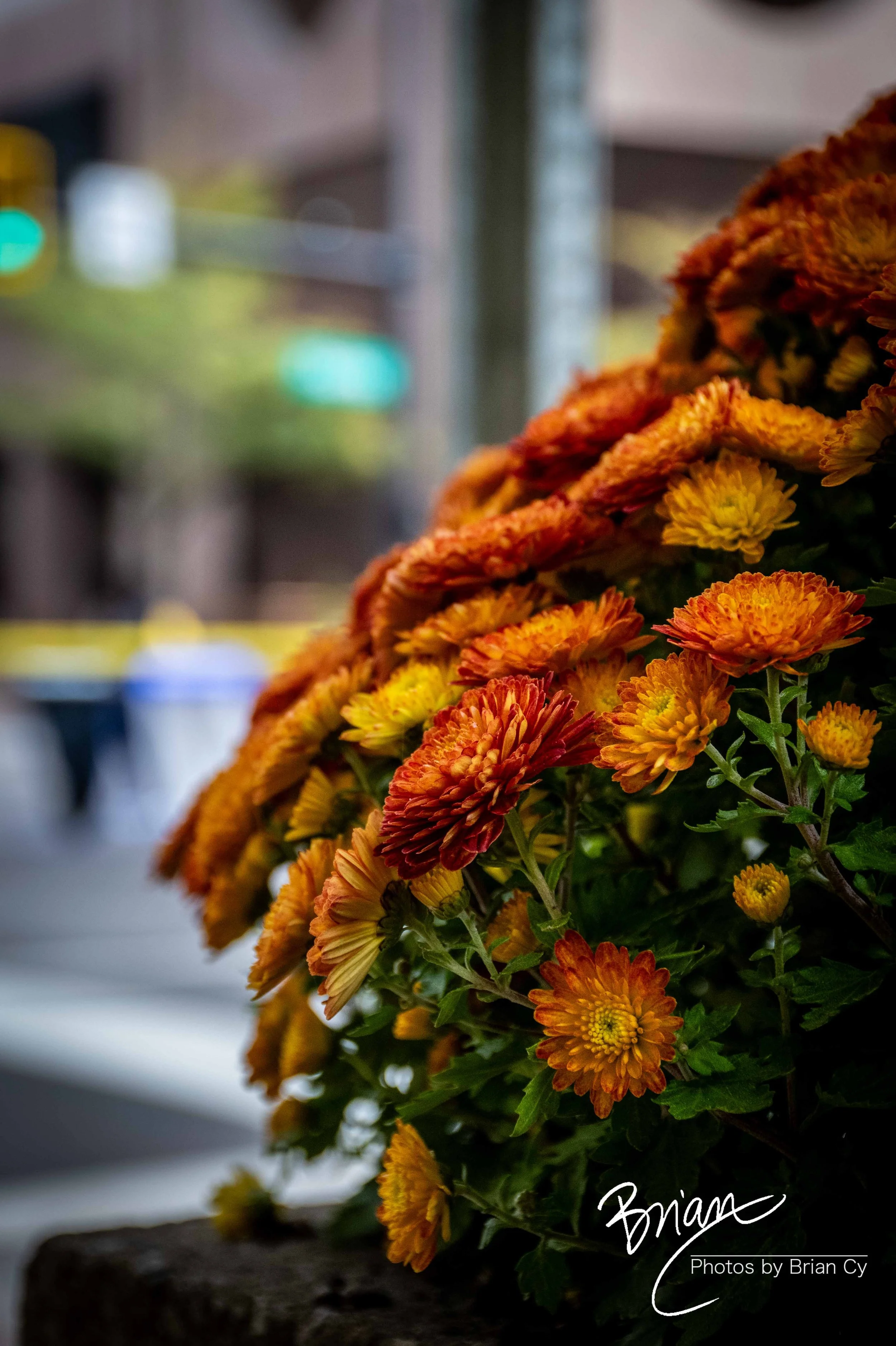 LoRes_WM_20251010_Columbus_Edit-5243.jpg