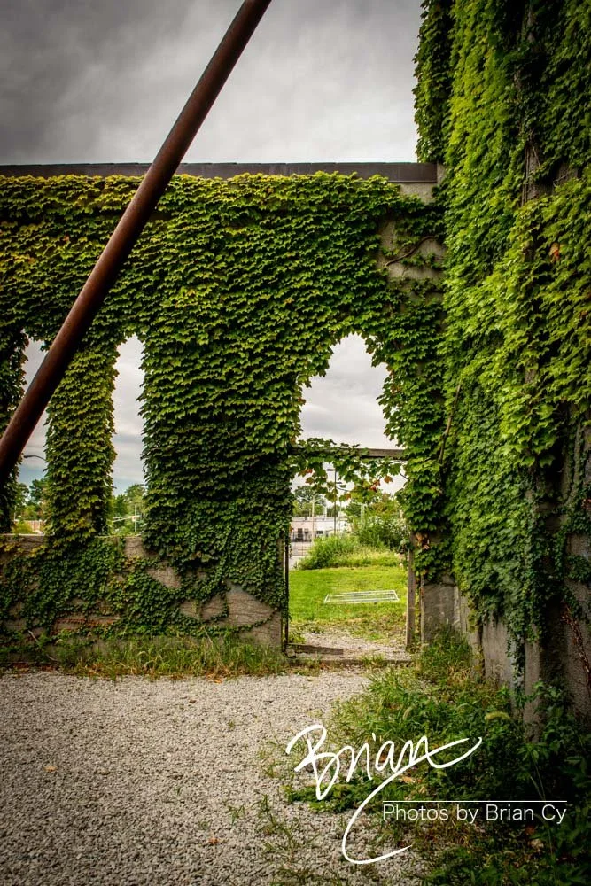 LoRes_WM_20180922_Saint_Louis_Edit-0301.jpg