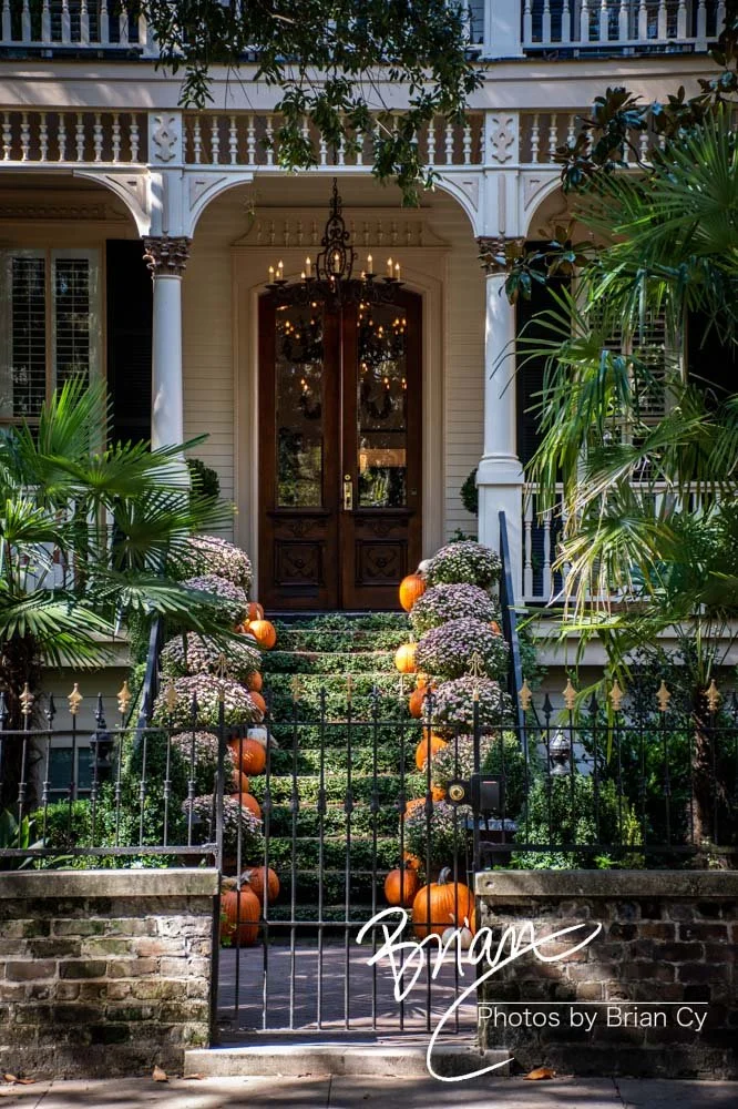 LoRes_WM_20191028_Savannah_Edit-1994.jpg