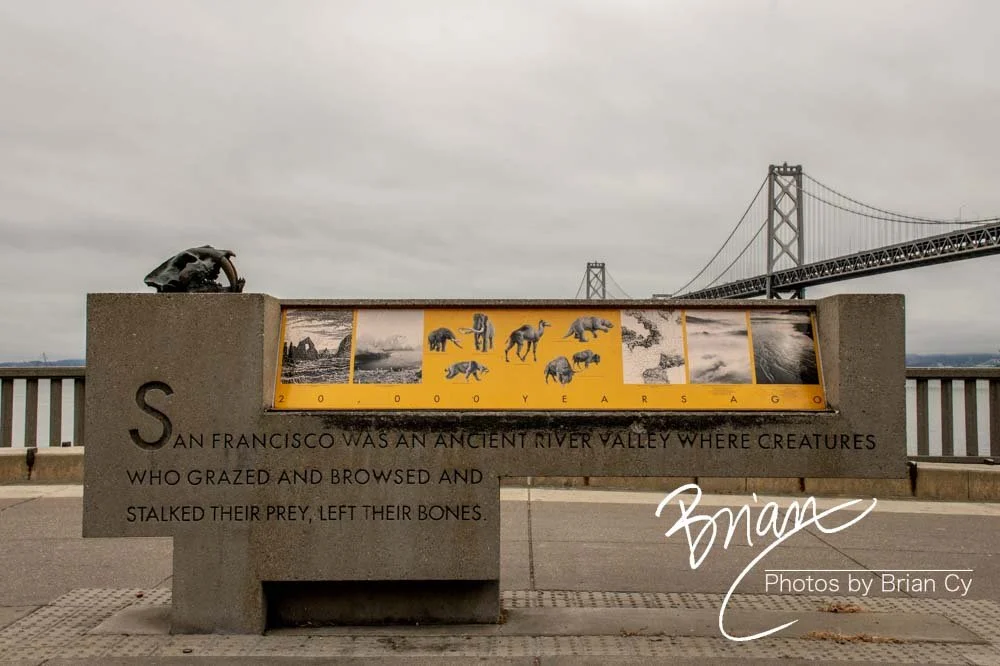 LoRes_WM_20200723_SanFrancisco_Edit-7457.jpg