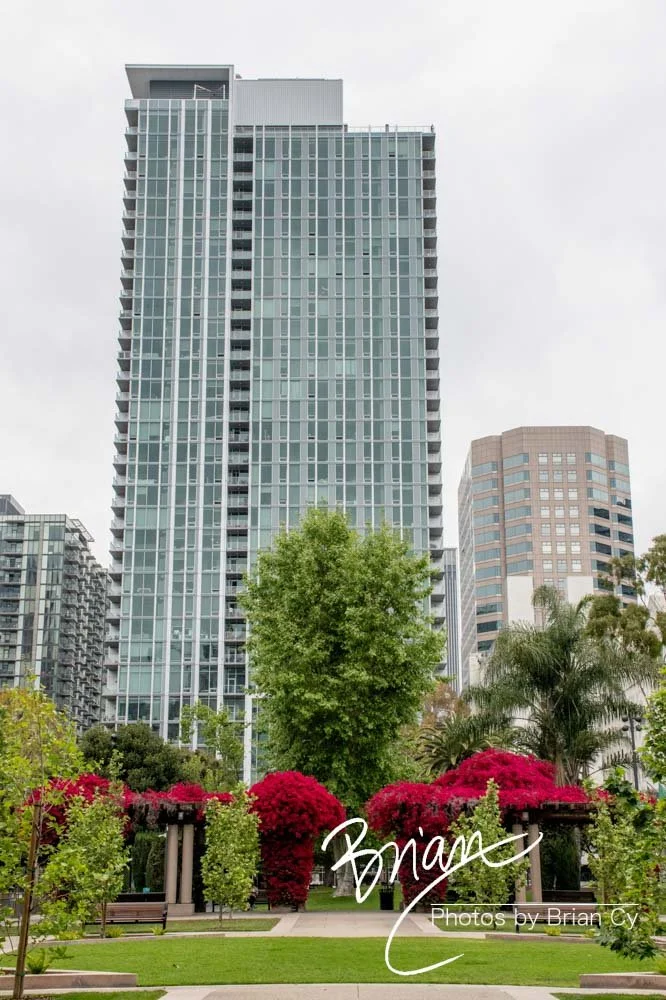 LoRes_WM_20190420_LosAngeles_Edit-2520.jpg