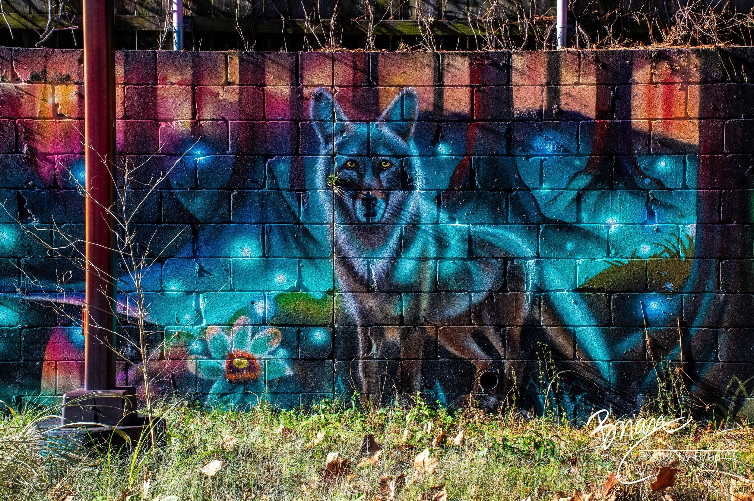 LoRes_WM_20251220_Memphis_Edit-7853.jpg