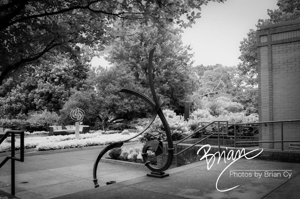 LoRes_WM_20180620_Memphis_Botanical_Gardens_Edit-9937.jpg