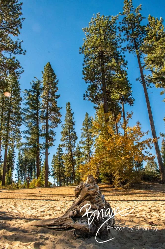 LoRes_WM_20201014_Tahoe_Edit-0779.jpg