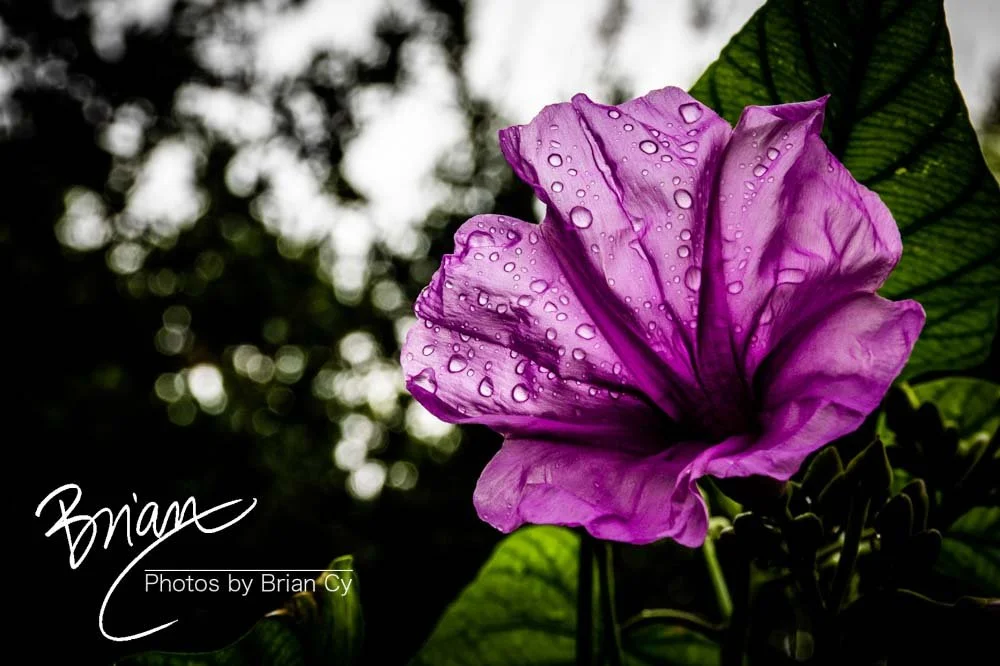 LoRes_WM_20191107_SanAntonio_Edit-0337.jpg