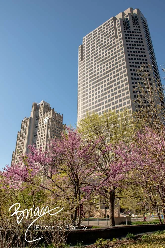 LoRes_WM_20190415_SaintLouis_Edit-0022.jpg