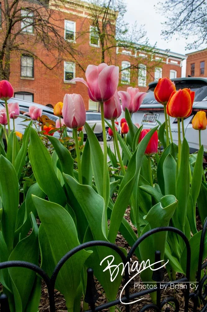LoRes_WM_20220416_Baltimore_Edit-3680.jpg