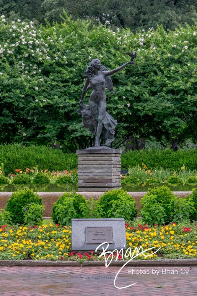 LoRes_WM_20180620_Memphis_Botanical_GardensA_Edit-0128.jpg