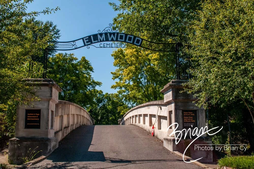 LoRes_WM_20160903_Elmwood_Cemetery_Edit-3336.jpg