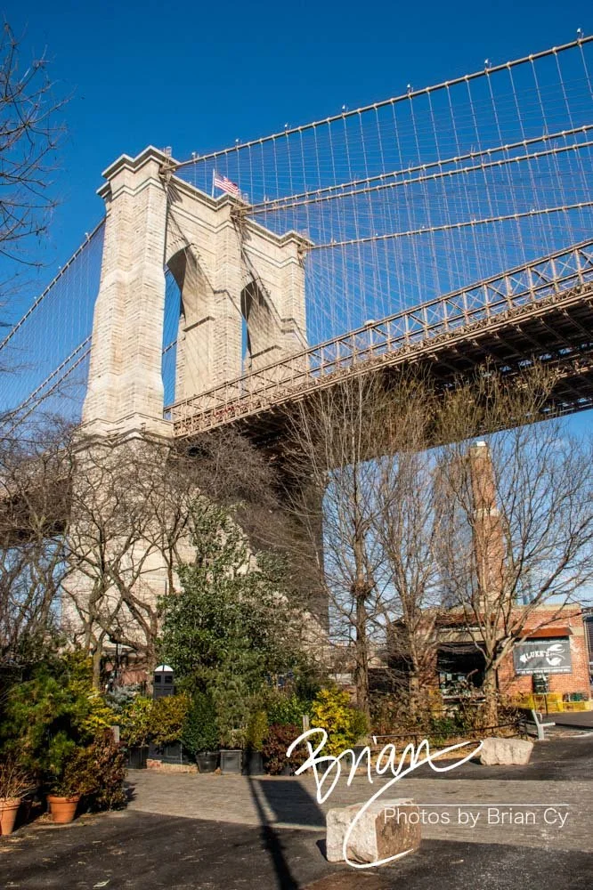 LoRes_WM_20221224_Brooklyn_Edit-8667.jpg
