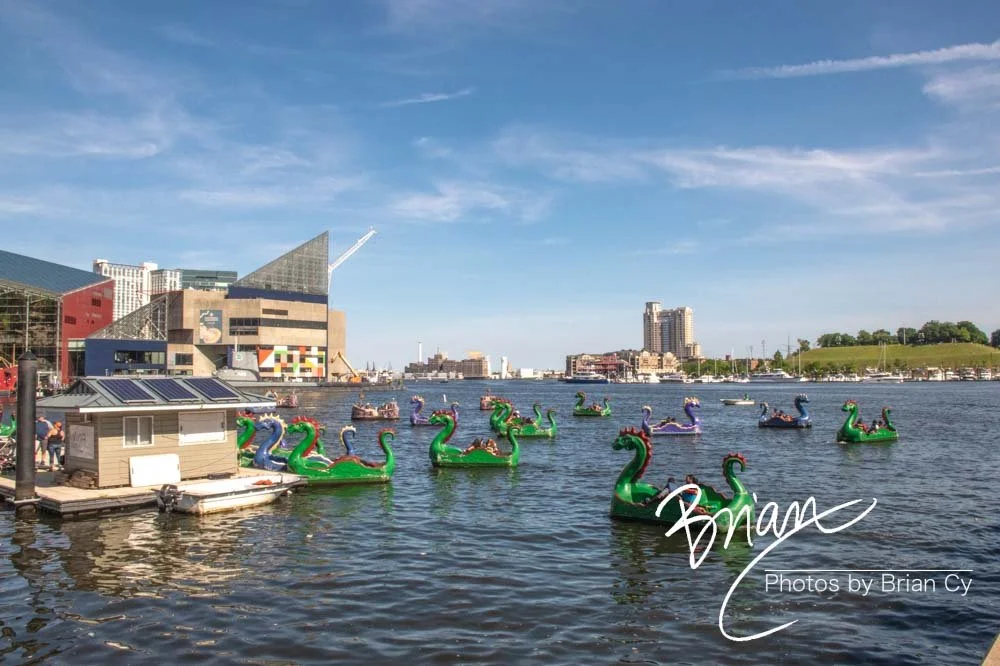 LoRes_WM_20220704_Baltimore_Edit-3914.jpg