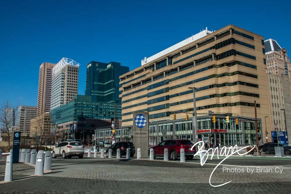 LoRes_WM_20210220_Baltimore_Edit-4201.jpg
