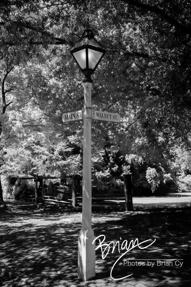 LoRes_WM_20190611_WinstonSalem_Edit-0784.jpg