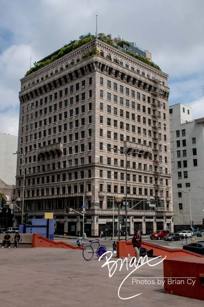 LoRes_WM_20190420_LosAngeles_Edit-3453.jpg