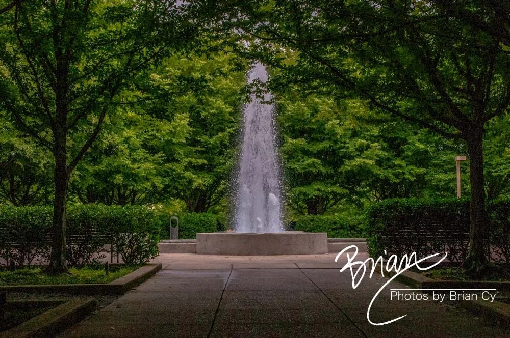 LoRes_WM_20180620_Memphis_Botanical_Gardens_Edit-0330.jpg