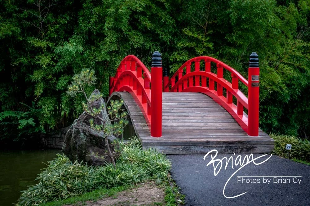 LoRes_WM_20180620_Memphis_Botanical_Gardens_Edit-0057.jpg