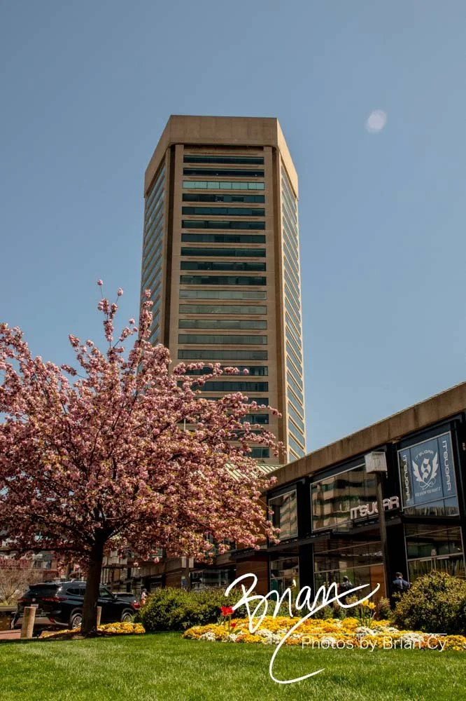 LoRes_WM_20220416_Baltimore_Edit-5432.jpg