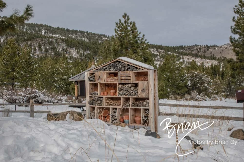LoRes_WM_20191228_Galena_Edit-9674.jpg