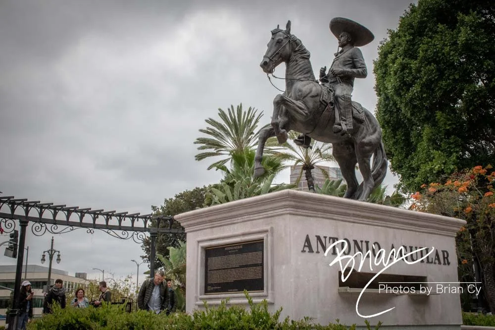 LoRes_WM_20190420_LosAngeles_Edit-1770.jpg