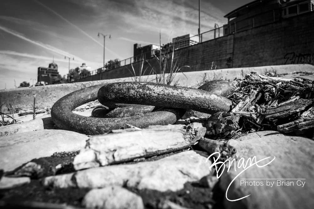 LoRes_WM_20181117_Memphis_Edit-0275.jpg