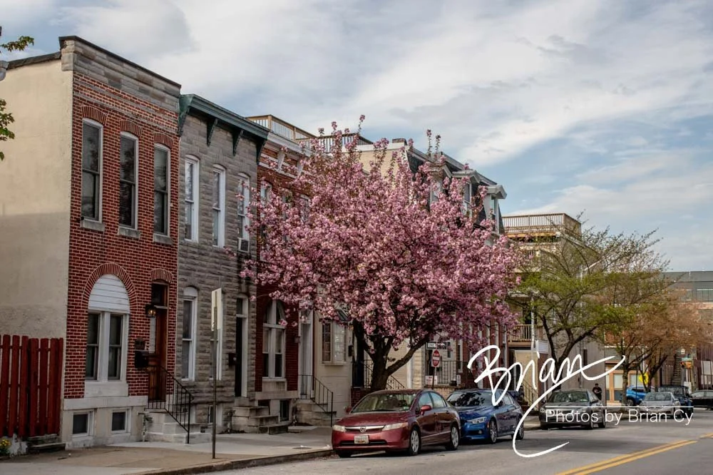 LoRes_WM_20220416_Baltimore_Edit-4322.jpg