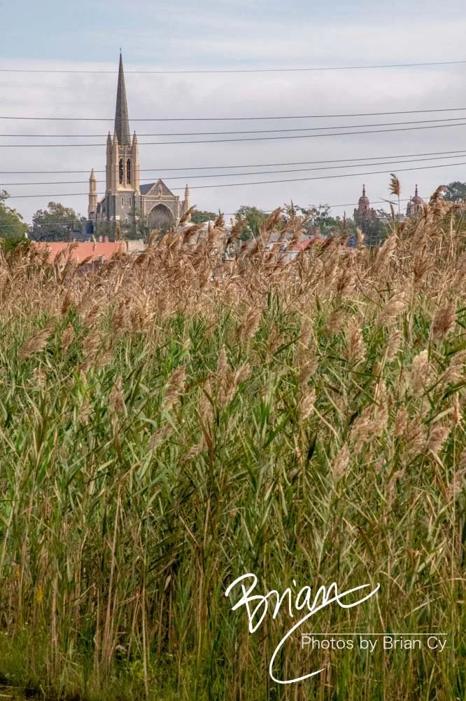 LoRes_WM_20191029_Wilmington_Edit-4074.jpg