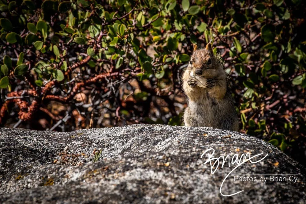LoRes_WM_20191012_Tahoe_Edit-6112.jpg