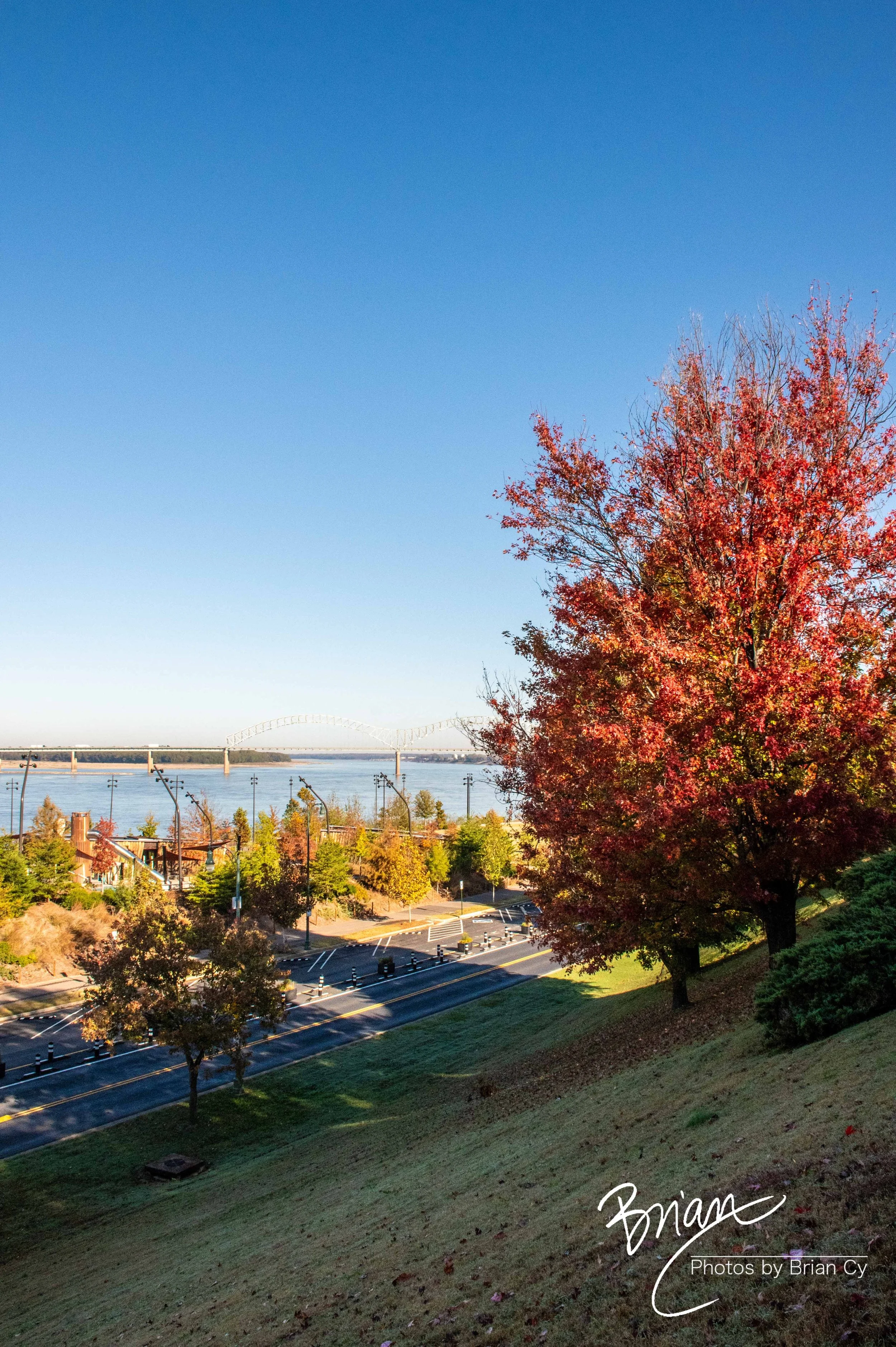 LoRes_20251108_Memphis_Edit-6816.jpg