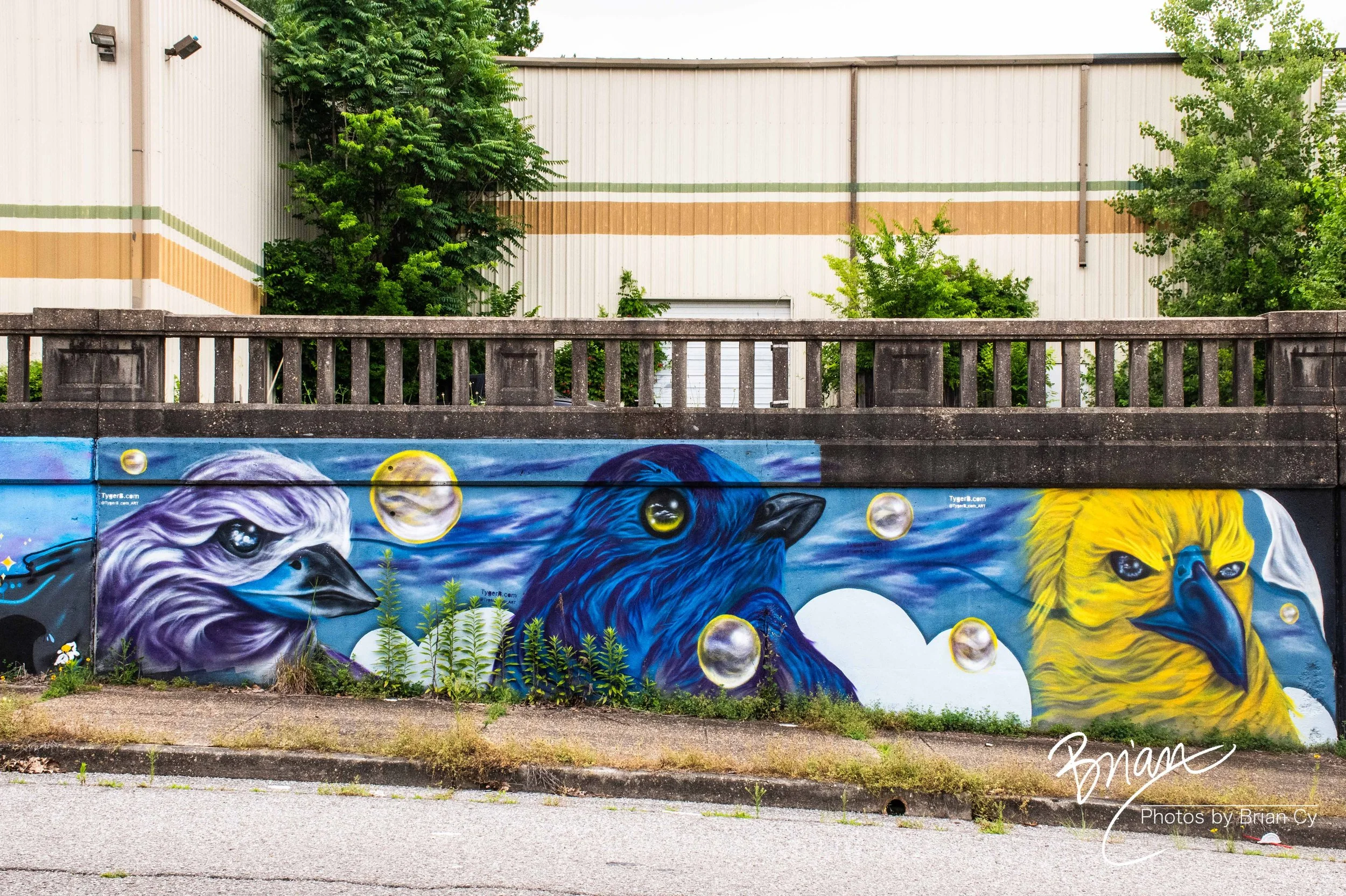 LoRes_WM_20260525_Memphis_Edit-0900.jpg