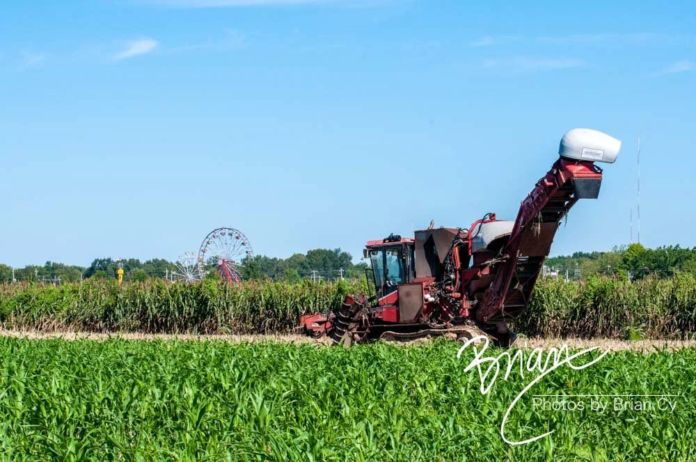 LoRes_WM_20160902_ShelbyFarms_Edit-2954.jpg