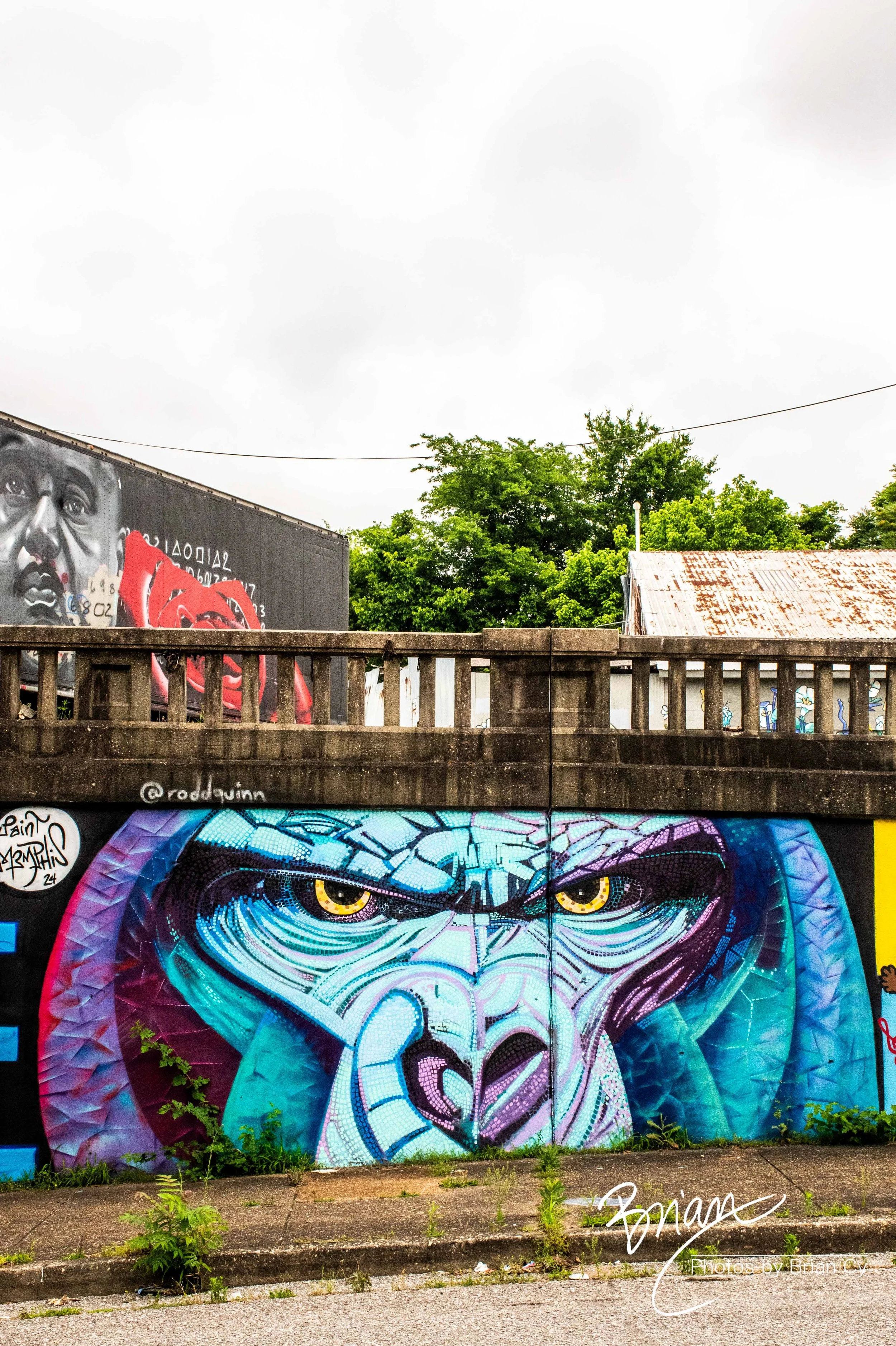 LoRes_WM_20260525_Memphis_Edit-0852.jpg