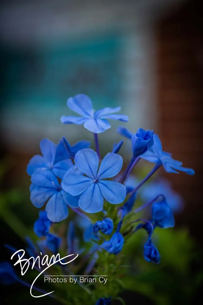 LoRes_WM_20190921_Atlanta_Edit-0066.jpg