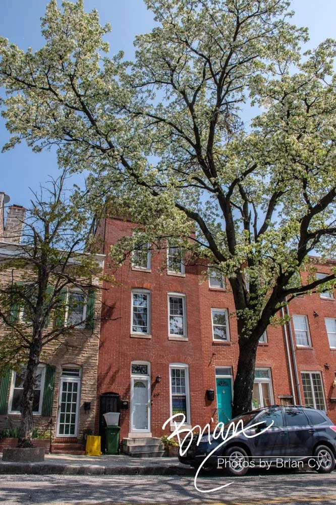 LoRes_WM_20210408_Baltimore_Edit-5809.jpg