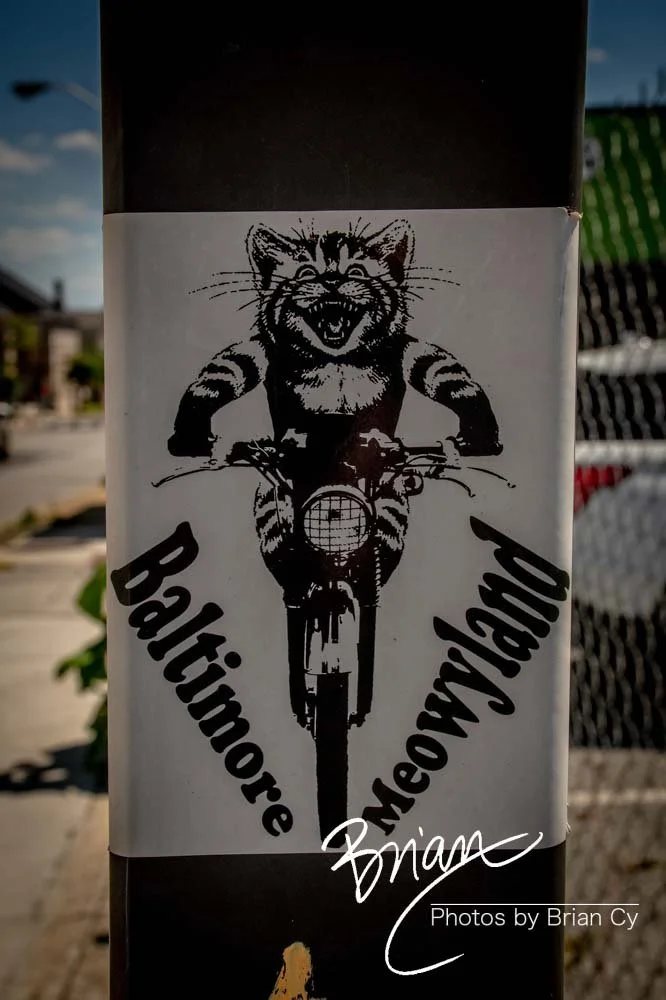 LoRes_WM_20220604_Baltimore_Edit-1402.jpg