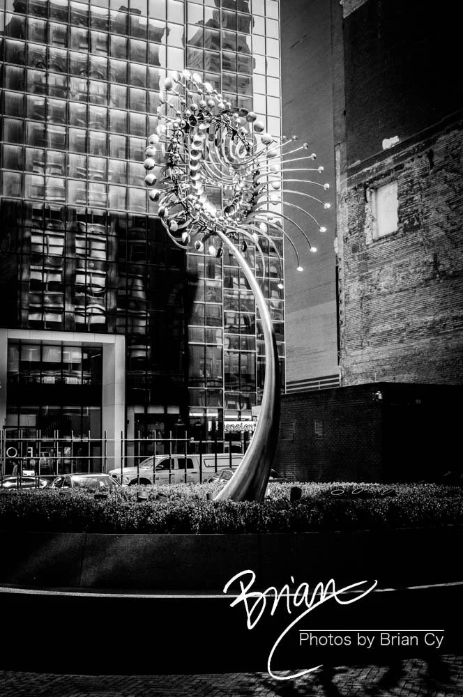 LoRes_WM_20180302_Dallas_Edit-7681.jpg